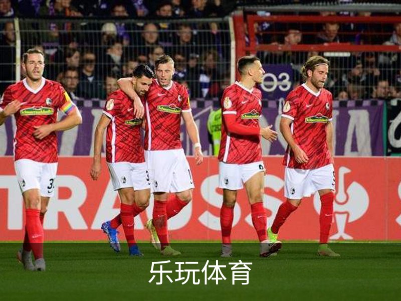 乐玩体育概况